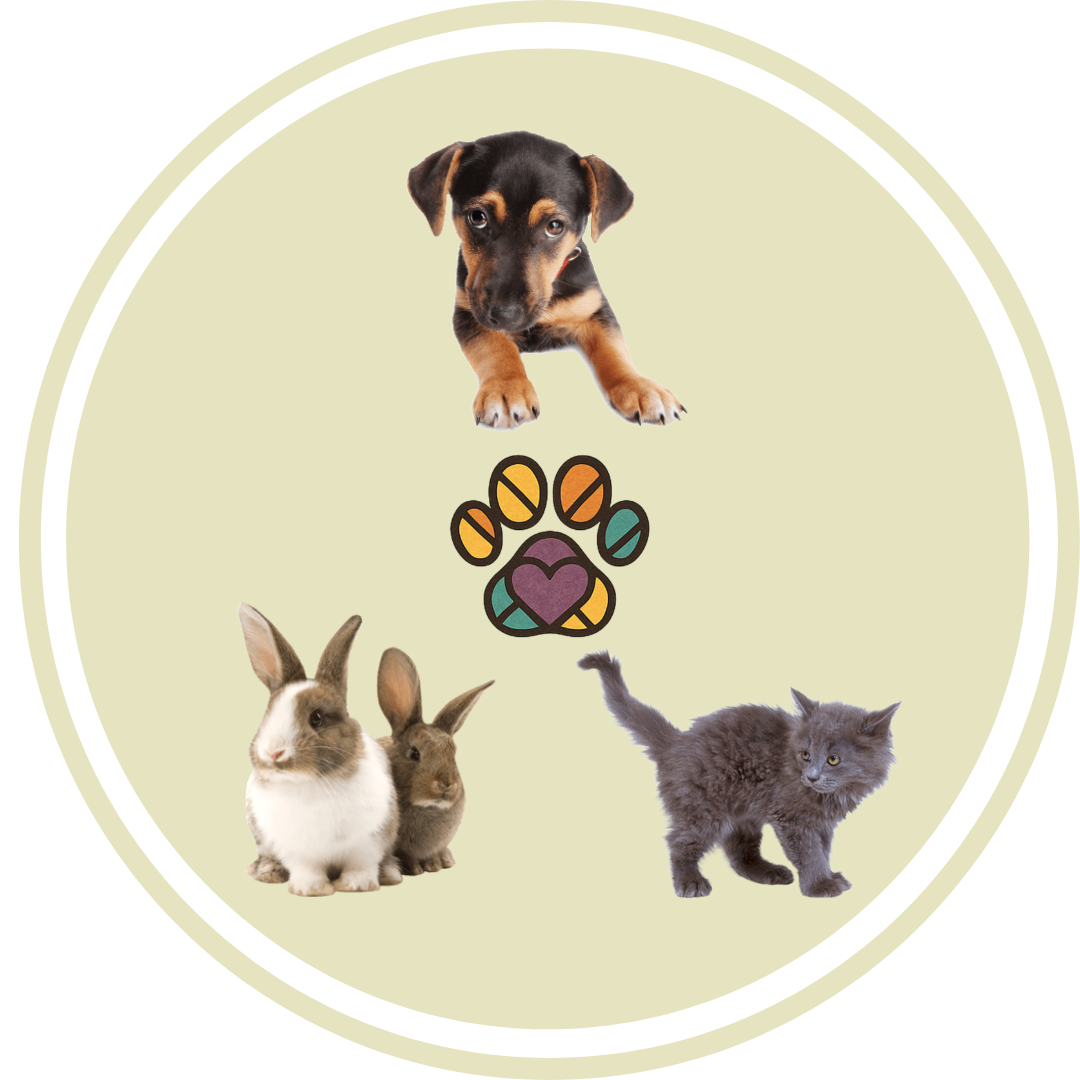 Support our Business! Save a Dog